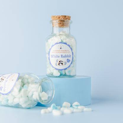 Wax Melts - ULTIMATE BUNDLE